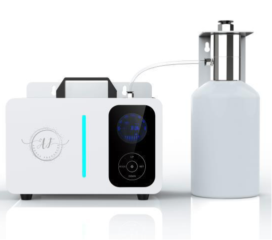 AF Hemingway + free aroma oil