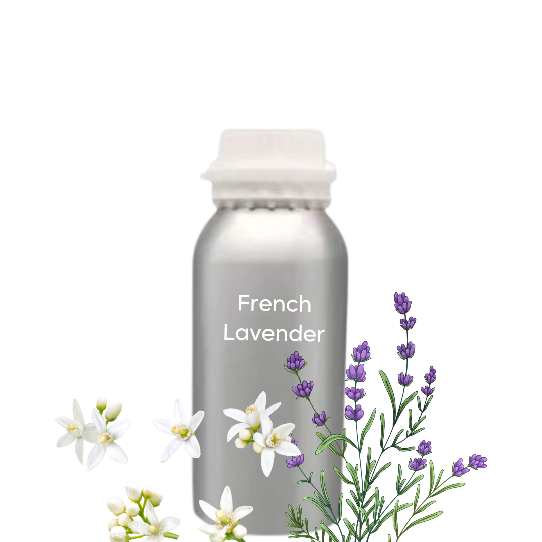 French Lavender